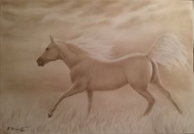 white-horse.jpg